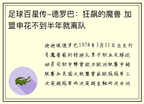 足球百星传-德罗巴：狂飙的魔兽 加盟申花不到半年就离队